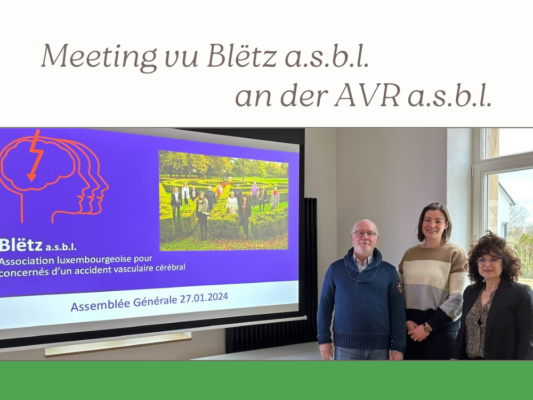 05. Februar 2024: Meeting vun der Association Nationale des Victimes de la Route (AVR) a Blëtz a.s.b.l.